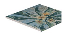 Serapool Tropic Merdiven Kaymazı 33x33x1,80 cm